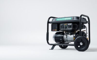 Best Propane Gas Generator For House 2026