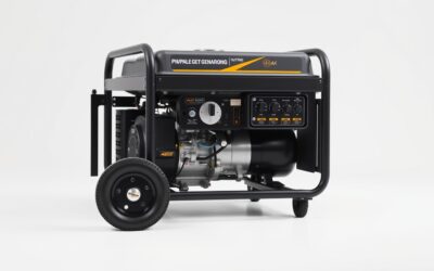 Best Propane Generator For Whole House 2026