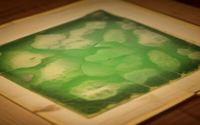 Catan board generator: Create Balanced Maps for Any Game