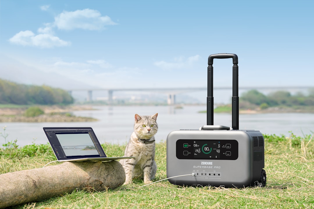 What Can a 2000 Watt Generator Run? Appliance Guide