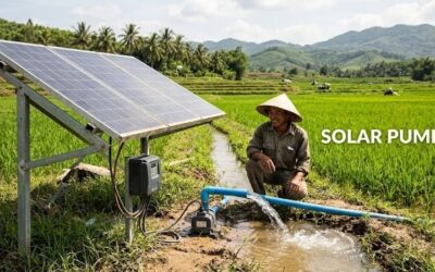 Solar pump solutions: Efficient systems for agriculture