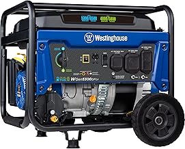 Buying Guide: Choosing a Generator for Hurricane Season