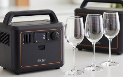 Best Dessert Wine Glasses for After-Dinner Drinks