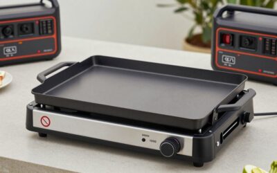 Best Outdoor Griddles for Backyard Cooking